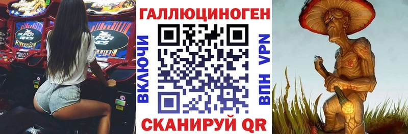 закладки  Железногорск  Псилоцибиновые грибы мицелий 
